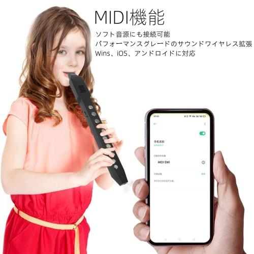 Aerophone Digital Wind Instrument, a MIDI Digital Wind Synthesizer for Children, Teachers, Seniors, and Teenagers, with Built-in Battery (black)