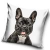 Cushion Cover Dogs/Cats 40 CM French Bulldog