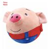 English Tiao Tiao Zhu Bouncy Ball - Baby Learning Toy, Seaweed Pig Design