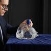 Botella de Exhibición de Whisky Decantador Forma de Ganso Pájaro Animal de Vidrio 3D Licor Esculpido para Exhibición de Bar Arte Dispensador de Vino Regalo para el Hogar Divertido Utensilio de Bar