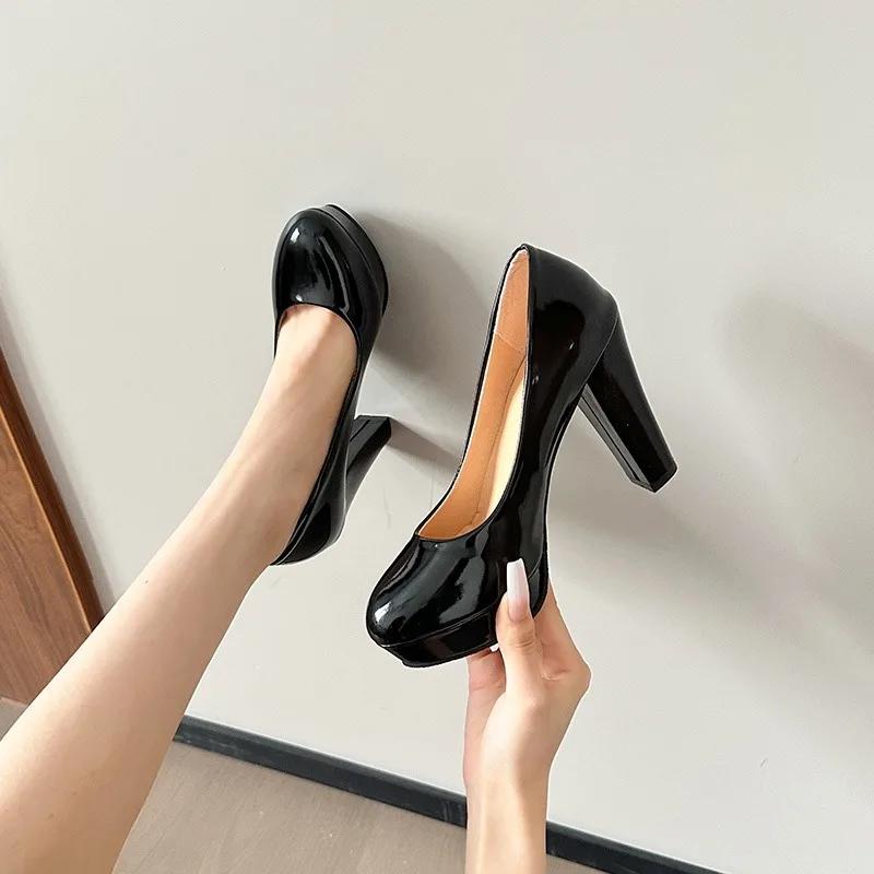 2025 Fashion Women's High Heels Pointed Toe Shallow Chunky Heels Dress Pumps Slip on Plus Size Shoes for Shoes Female Zapatos