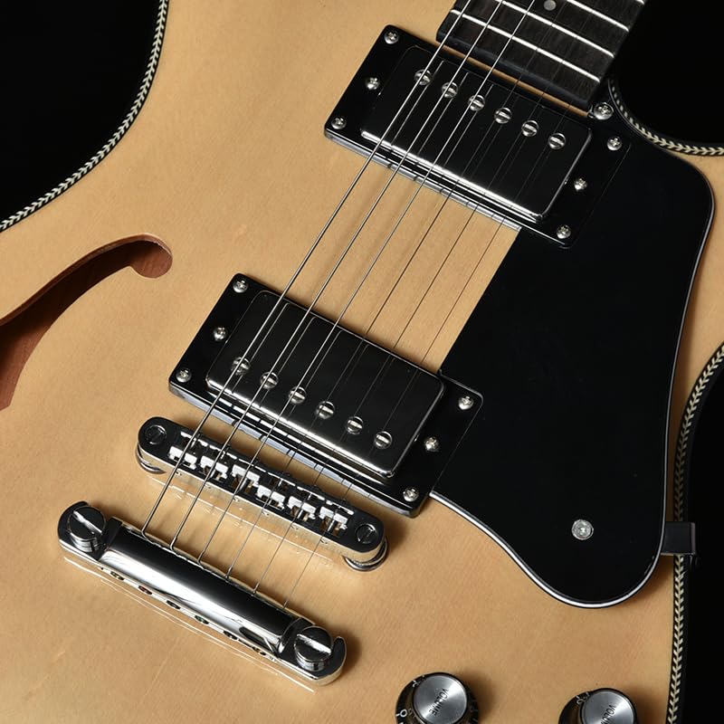 BACCHUS Global Series NA Electric Guitar BARON-JAZZ