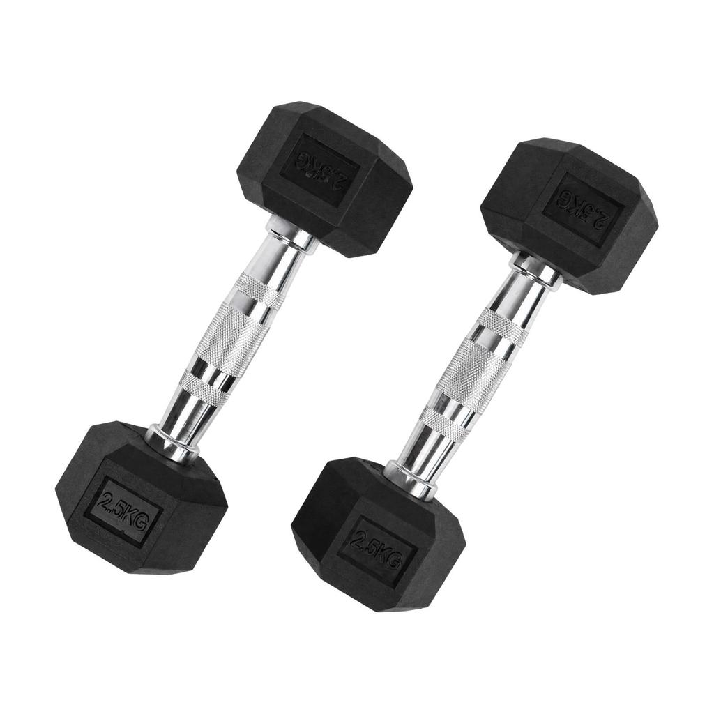 2 Pieces Rubber Coated Hex Dumbbell NonRolling Cast Iron NonSlip for Home Gym, FullBody