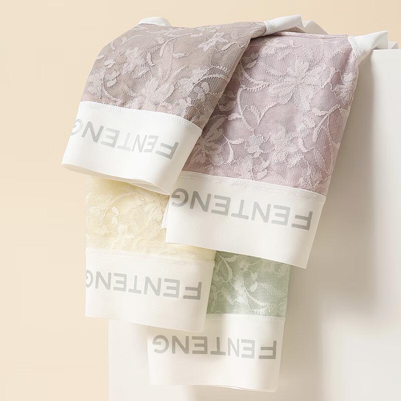 Fenteng Women's High-Waisted Lace Antibacterial Silk Crotch Briefs 4-Pack