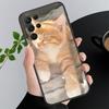 Phone Case For Samsung A17 A55 A16 A56 A35 A15 A53 A54 A33 A34 A25 A05S A52 A52S A07 A26 A06 Cute Cats