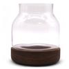 Terrarium Medium On Dark Tung Wood
