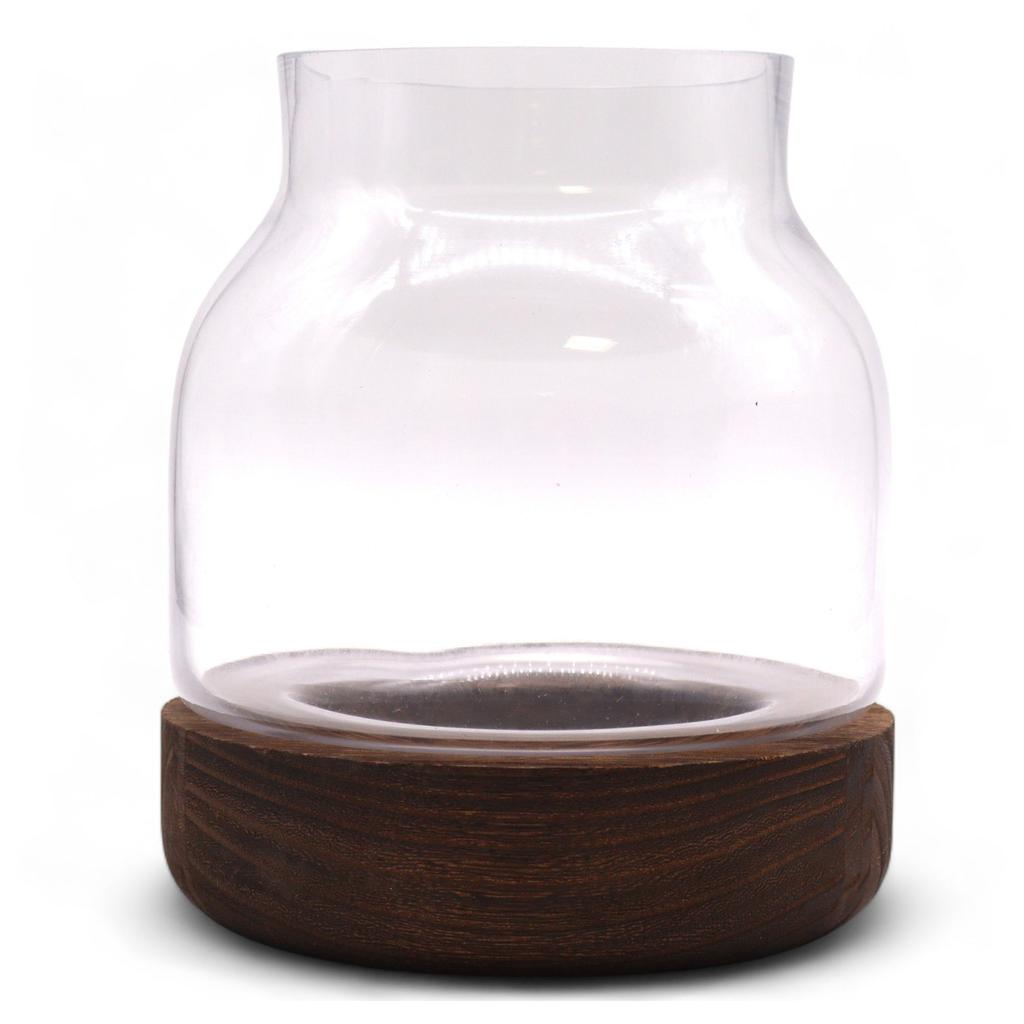 Terrarium Medium On Dark Tung Wood