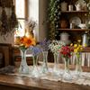6 Stück Tischdekoration Transparente Mini-Glasvase Rustikale Dekorations-Wasserkultur-Vase Vintage Blumenflasche Party-Dekor