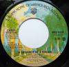 7inch Record CANDI STATON  A Dreamer Of A Dream WBS8320 Warner Bros. Re 1977 US SoulFunk Used