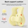 Back Support Cushion Memory Foam Lumbar Support Cushion Chair Back Support with Adjustable Slider for Office Chair Computer Desk Chair