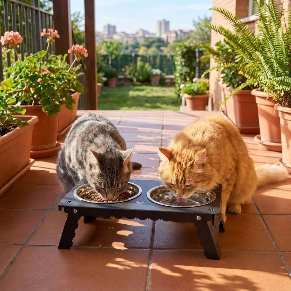 Removable Dog Water Food Bowl Foldable Elevated Cat Feeder Cat Basin Raised Dog Double Bowl  Travel