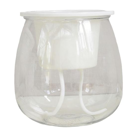 Self Watering Plant Pot Flower Pot with Transparent Reservoir Clear Self Watering Planter for Indoor Plants Flowers African Violets