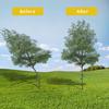 2/6/12Pcs Tree Strap with Grommet Strong Load Bearing Good Support Effectively Fixed Newly Planted Branch Belt Garden Tool