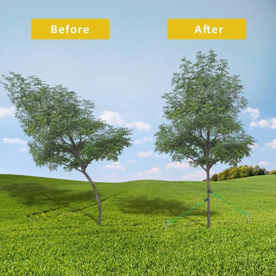 2/6/12Pcs Tree Strap with Grommet Strong Load Bearing Good Support Effectively Fixed Newly Planted Branch Belt Garden Tool