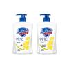 Safeguard Antibacterial Hand Wash Twin Pack
