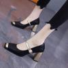 2025 Fashionable Spring and Autumn Versatile Women's High-heeled Shoes with Color Matching Thick Heel Square Toe Women's Shoes