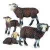 Oenux Classic Farm Animal Simulation Sheep Goat Argali Antelope Model Action Figure Poultry Figurines Cute Toy For Kid Gift