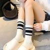 5 Pairs Women's Socks Cute Harajuku Warm Sock Simple Colorful Striped Short Socks Fashion Spring Autumn Women's Mid Length Socks