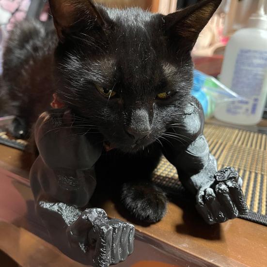 2Pcs Cat Muscular Arm Costume Cat Neck Arm with Muscle 3D Printed Superhero Cosplay Pet Spoof Toy Funny Cat Photo Prop Accessory