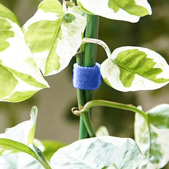 16,4 Fuß Pflanzenbinder Gartenband Wiederverwendbarer Klettverschluss Doppelseitiger Pflanzenstützbinder für Kletterpflanzen Kabelorganisation