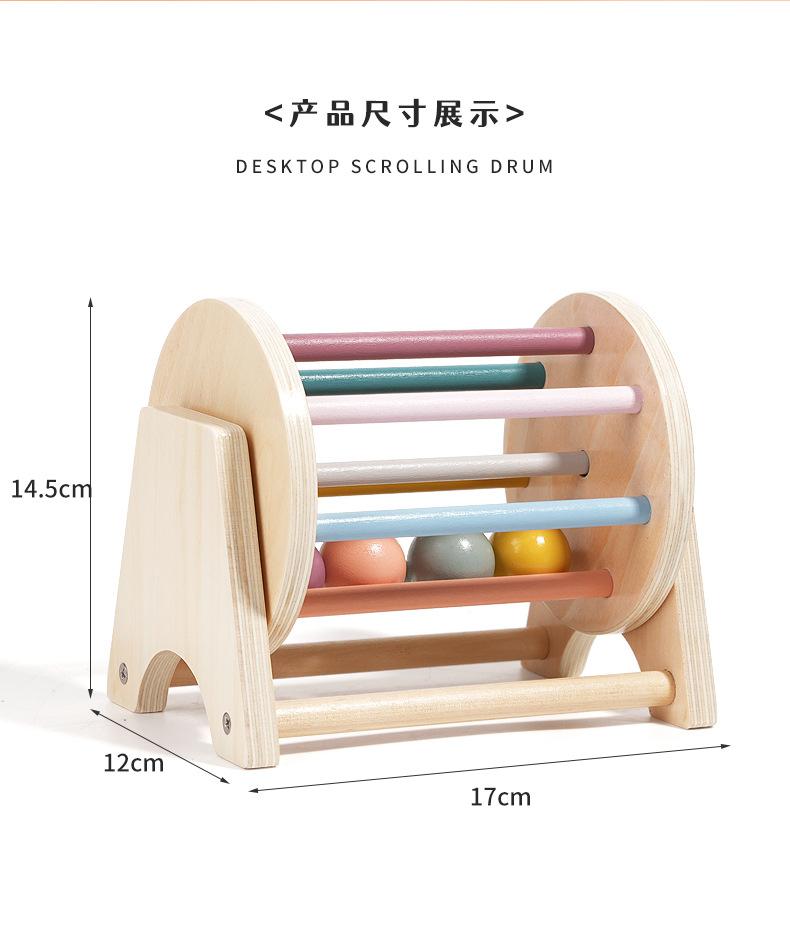 Giocattoli in Legno Montessori per Neonati Palla Moneta Tamburo Attività Ausilio Didattico per Bambini Regali Cognizione Colore Forma Abbinamento Giocattolo Sensoriale Educativo