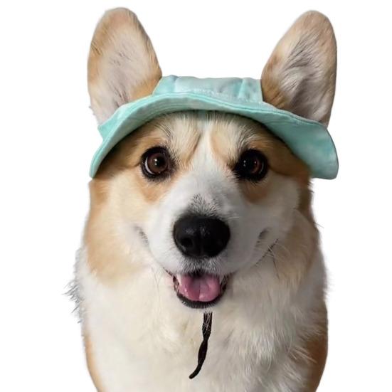 Corgi Klobouk proti slunci Pet Čepice s otvory pro uši Psí kšiltovka proti slunci s nastavitelným popruhem na krk pro malé a středně velké mazlíčky Ochrana proti slunci pro venkovní použití