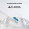 Lebooo C101 Sonic Electric Toothbrush