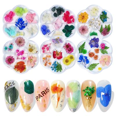 Nail Art Dried Flower 7 Grid Box Japanese Sunflower Gypsy Natural Flower Diy Manicure Nail Decoration Nail