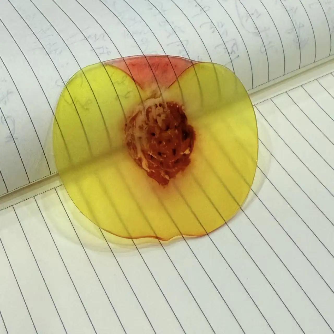 

Acrylic Bookmark Lightweight Fruit Slice Bookmark Desktop Decor Bookmark Ins For Stationery Collection Schools Desktop