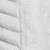 Nike ACG Vests Men's Dust Photon/Mountain White Stand Collar Moderate Other HV0606-025