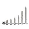 Siji Minghu Stainless Steel Flat Head Self-Tapping Screw