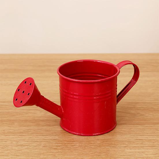 Konev s dlouhou hubicí Kovová zahradní konev Malá konev pro pokojové venkovní rostliny v květináčích Bonsaje Terasa Zahradničení