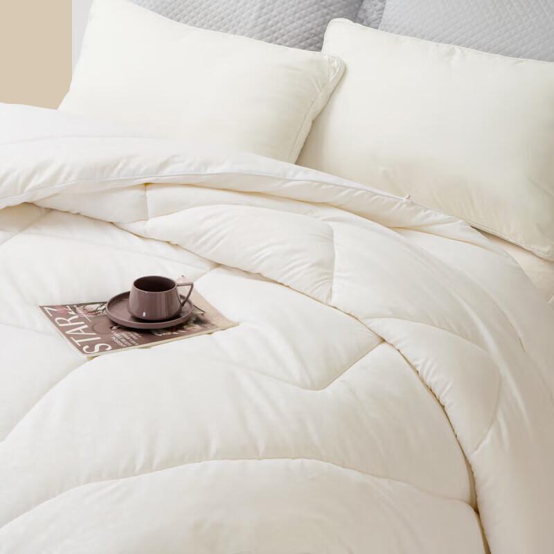 Mercury Home Textiles Antibacterial All-Season Two-in-One Duvet
