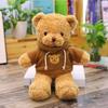 Teddy Bear Doll Plush Toy Children's Pillow Rag Doll Night Market Gift Gifts Gifts Floor Stand