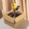 Bird Figurine Tabletop Ornament Bird Figurine Decor Decorative Animal Decoration Resin Collectible Funny Ornament for Kids Adult