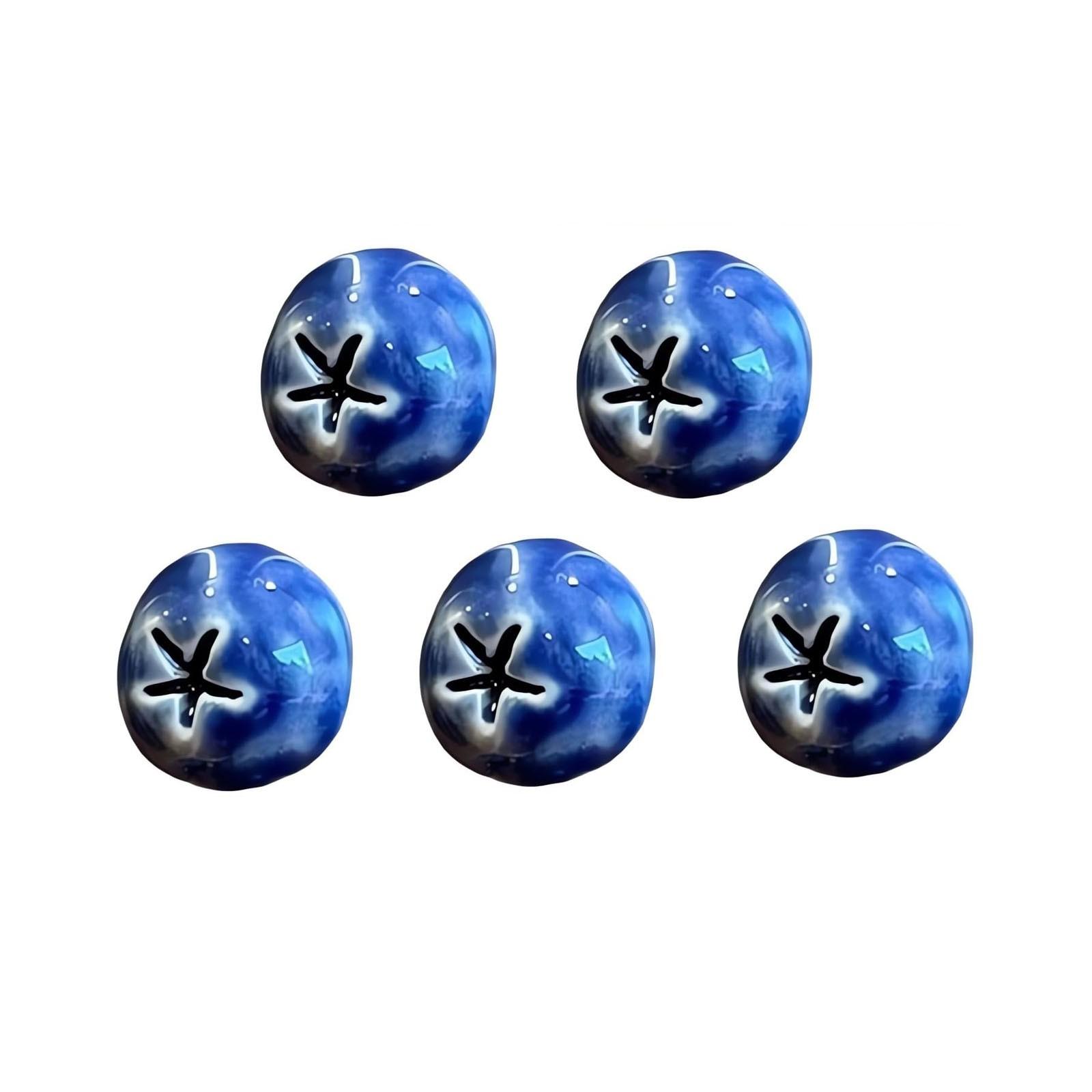 

Blueberry Fridge Magnets 3D Resin Small Blueberry Fridge Magnets Decoration 5 Pieces One Size