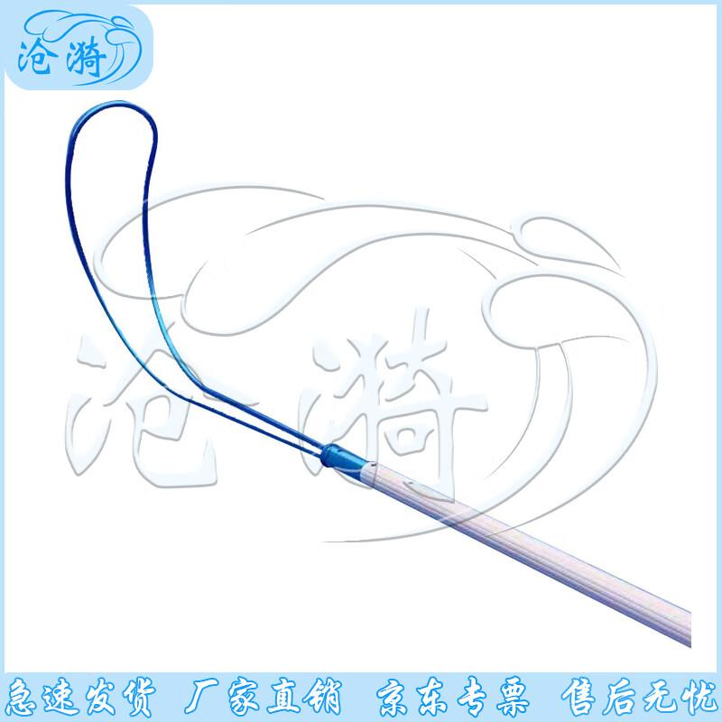 Swimming Pool Telescopic Rescue Pole with Hook