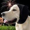Hunde-Ohrenschützer: Geräuschdämpfendes & Nackenwärmendes Haustierzubehör