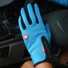 Winter Waterproof Ski Gloves Touchscreen Driving Gloves Snowboard Snow Gloves