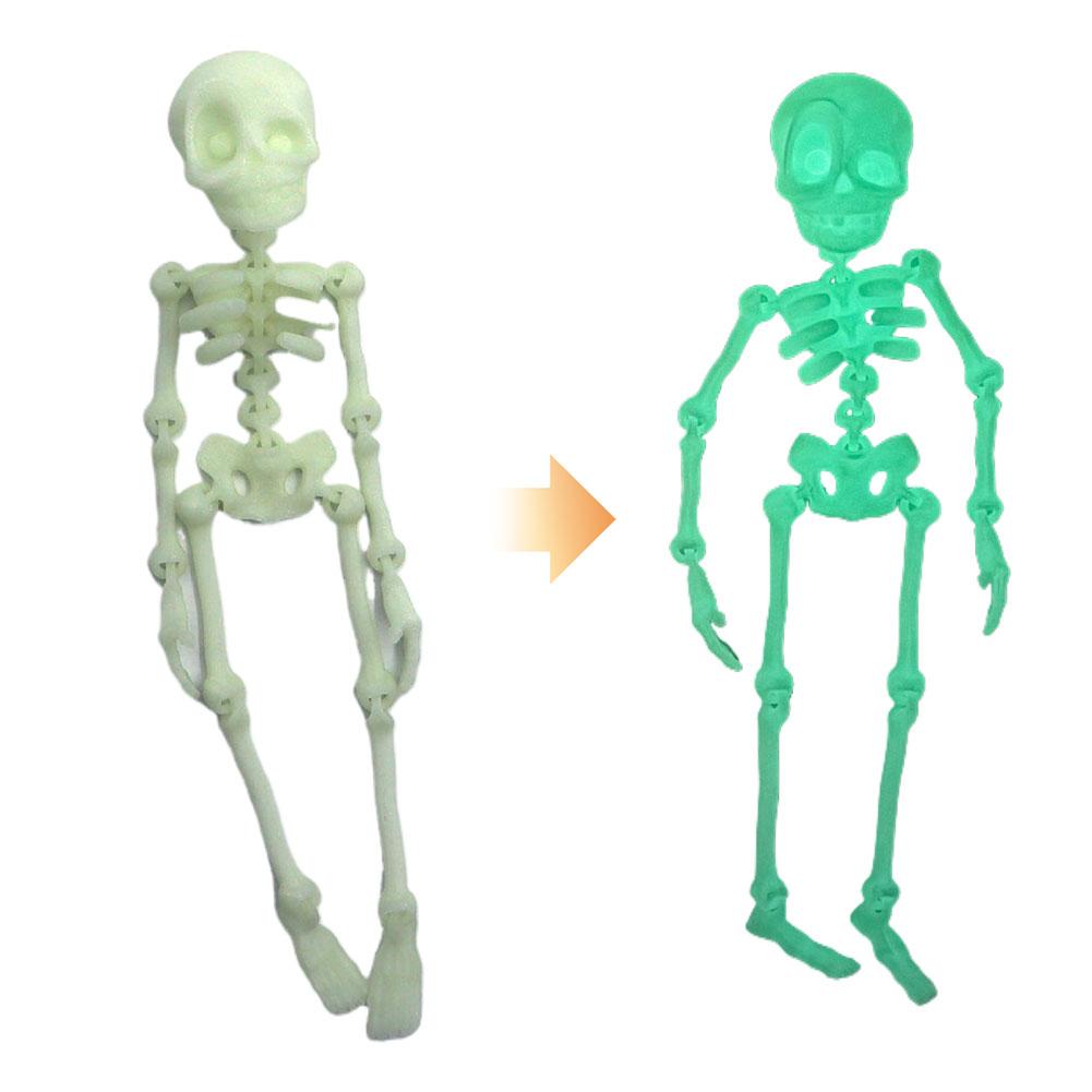 3D Printed Skeleton Human Joint Fidget Figurine Skeleton Refrigerator Magnet for Home Office Living Room and Desktop