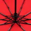 Xuqing Automatic 10-Rib Windproof Business Umbrella