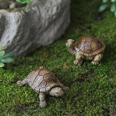 Deko & Wohnaccessoires – Dekorative Terrarien