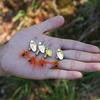 Paillettes Rotanti Esche da Pesca Scatolate 4pz Esche da Pesca Spinning Attrezzatura da Pesca in Mare per Viaggi All'aperto