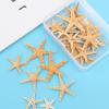Decoration DIY Crafts Mixed Starfish-Natural Handmade Accessories Seashells Starfish Ocean Decor