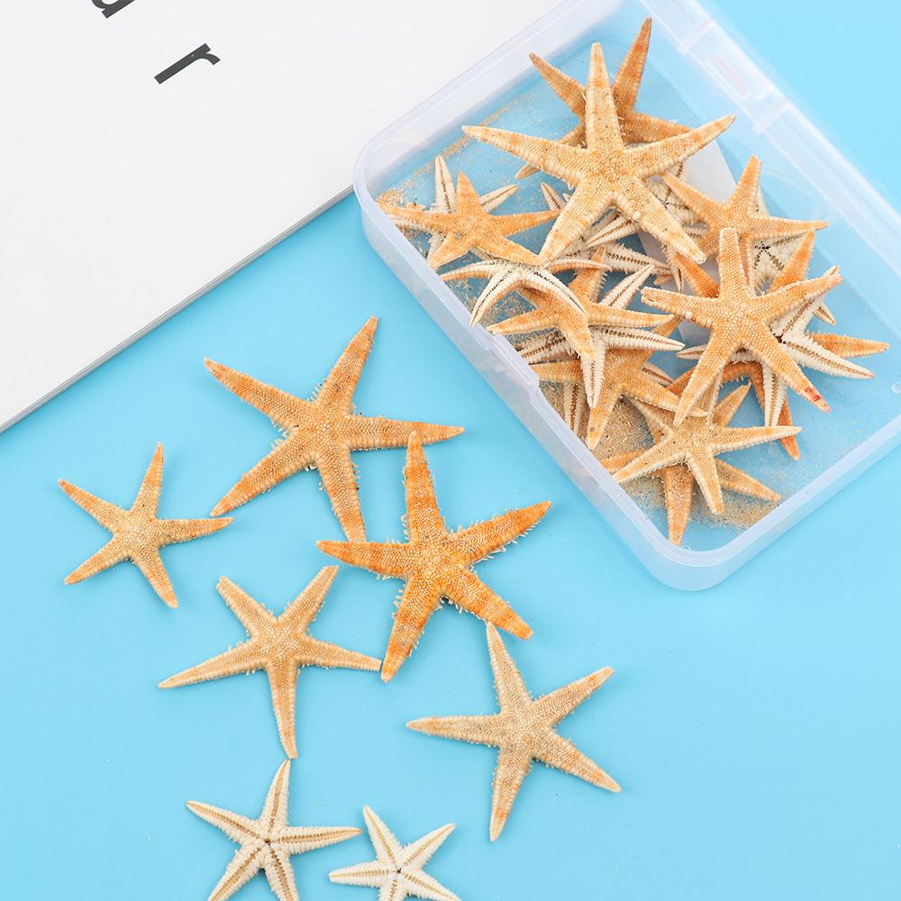 Decoration DIY Crafts Mixed Starfish-Natural Handmade Accessories Seashells Starfish Ocean Decor