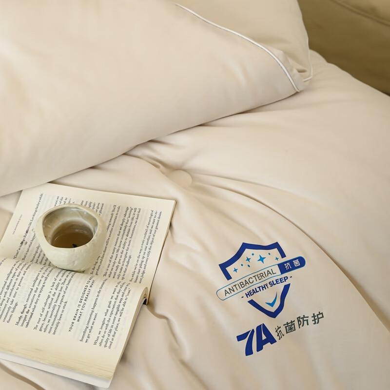 Southern Living 7A Antibacterial Skin-Friendly Winter Quilt