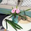 5/7/10 Real Touch Artificial Orchid Leaf Silicon Feel Leafs Butterfly Orchid Flower Home Decorative Grass Arrangements Plant
