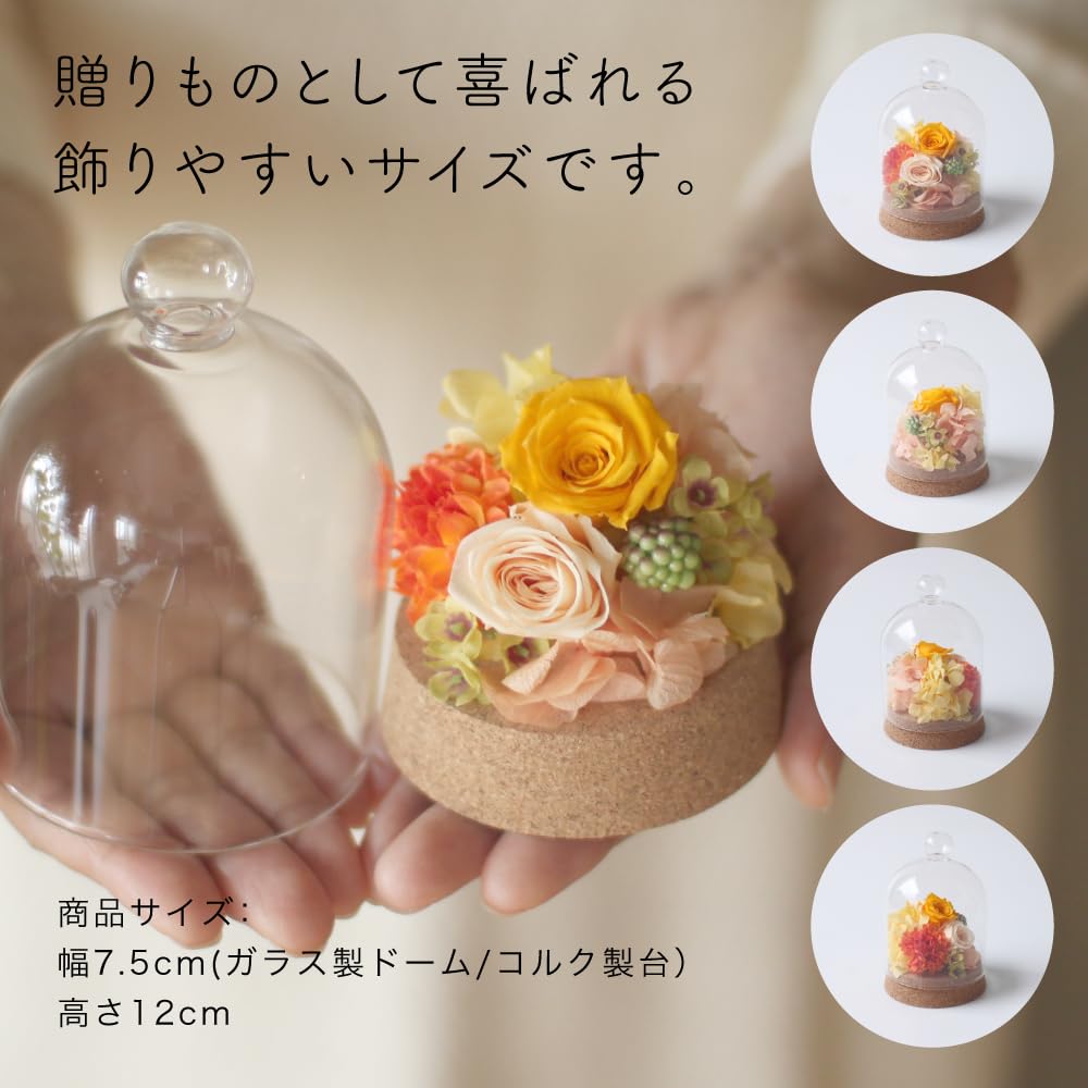 Konservierte Blume Petit Dome, Handgefertigte Materialien, Getrocknete Blumen, Geschenke, Feiern, Jahrestage, Geburtstage, Blumenarrangements, Blumengeschenke, Neve