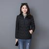 Small Padded Jacket Women's New Winter Fashion Light and Thin Large Size Padded Jacket Versatile Short Thickened Down Padded Jacket