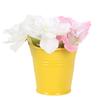 Cute Mini Solid Color Pail Bucket Wedding Party Candy Favours Home Hotel Decor